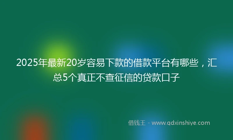 2025年最新20岁容易下款的借款平台有哪些，汇总5个真正不查征信的贷款口子