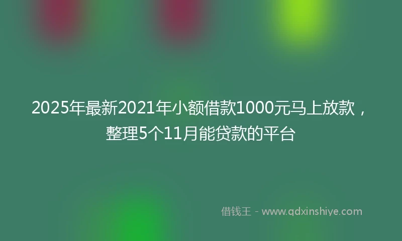 2025年最新2021年小额借款1000元马上放款，整理5个11月能贷款的平台