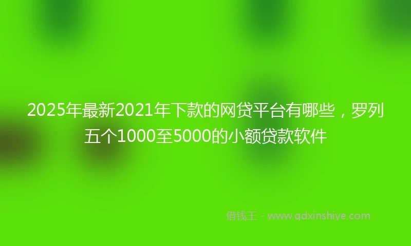 2025年最新2021年下款的网贷平台有哪些，罗列五个1000至5000的小额贷款软件