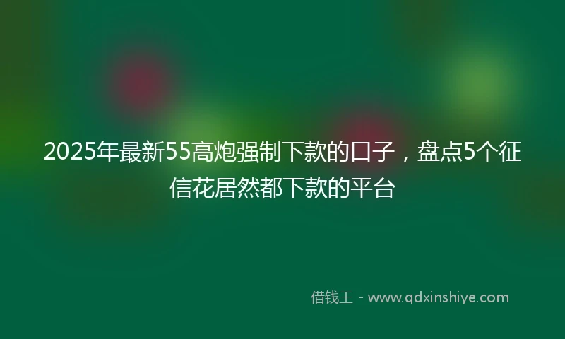 2025年最新55高炮强制下款的口子，盘点5个征信花居然都下款的平台