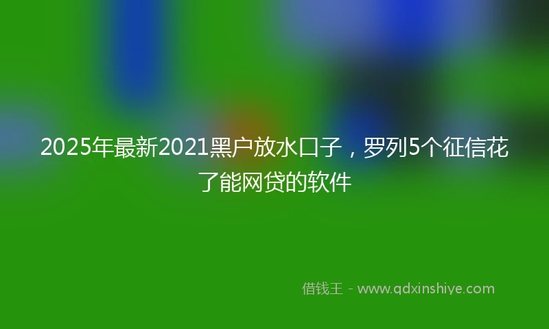 2025年最新2021黑户放水口子，罗列5个征信花了能网贷的软件