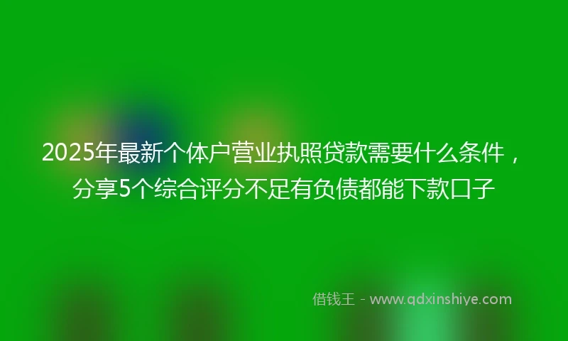 2025年最新个体户营业执照贷款需要什么条件，分享5个综合评分不足有负债都能下款口子