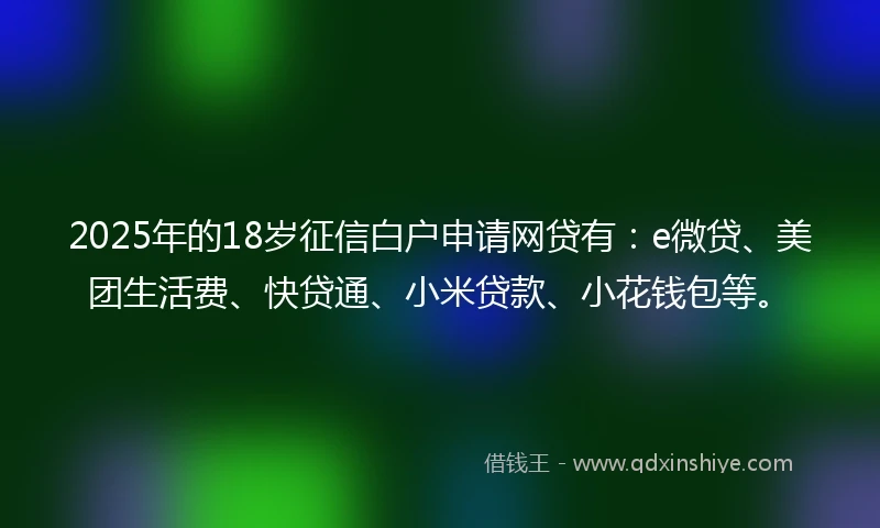 2025年的18岁征信白户申请网贷有：e微贷、美团生活费、快贷通、小米贷款、小花钱包等。