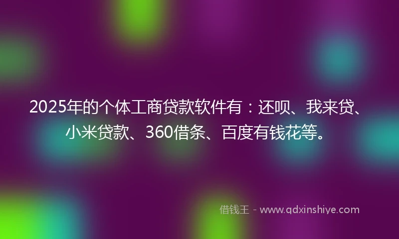 2025年的个体工商贷款软件有：还呗、我来贷、小米贷款、360借条、百度有钱花等。