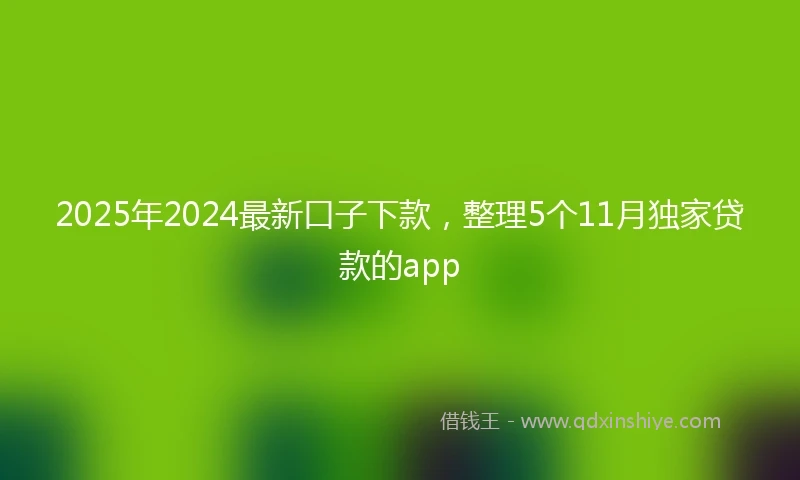 2025年2024最新口子下款，整理5个11月独家贷款的app