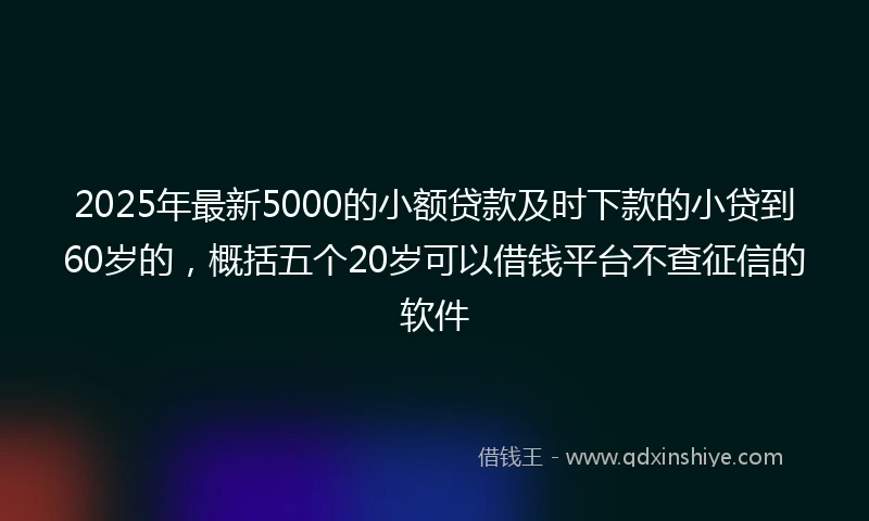 2025年最新5000的小额贷款及时下款的小贷到60岁的，概括五个20岁可以借钱平台不查征信的软件