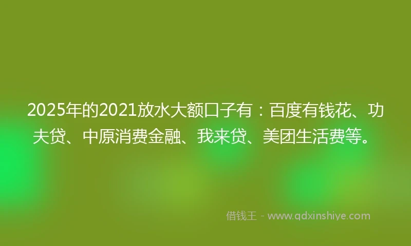 2025年的2021放水大额口子有：百度有钱花、功夫贷、中原消费金融、我来贷、美团生活费等。