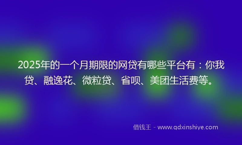 2025年的一个月期限的网贷有哪些平台有：你我贷、融逸花、微粒贷、省呗、美团生活费等。