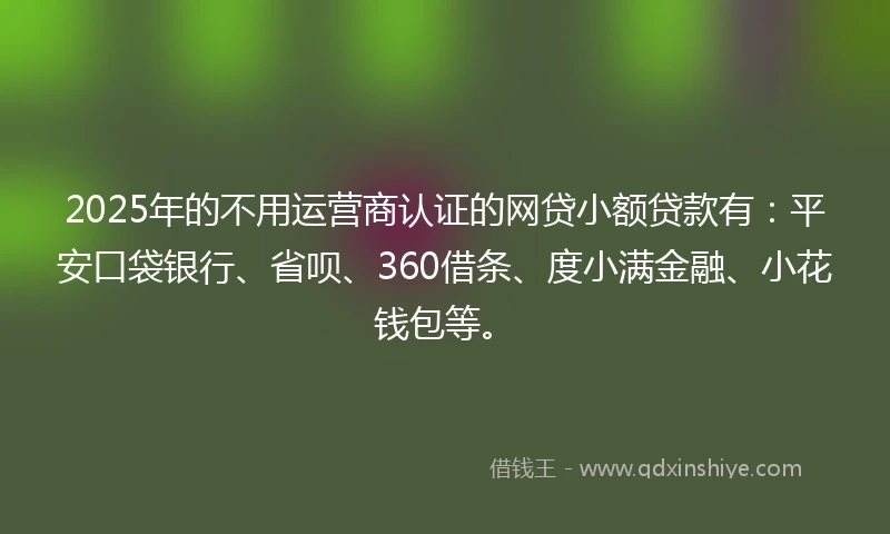 2025年的不用运营商认证的网贷小额贷款有：平安口袋银行、省呗、360借条、度小满金融、小花钱包等。
