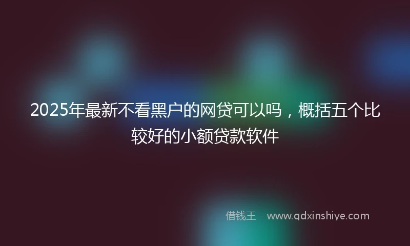 2025年最新不看黑户的网贷可以吗，概括五个比较好的小额贷款软件
