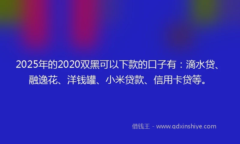 2025年的2020双黑可以下款的口子有：滴水贷、融逸花、洋钱罐、小米贷款、信用卡贷等。