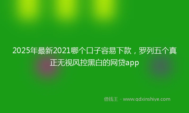 2025年最新2021哪个口子容易下款，罗列五个真正无视风控黑白的网贷app