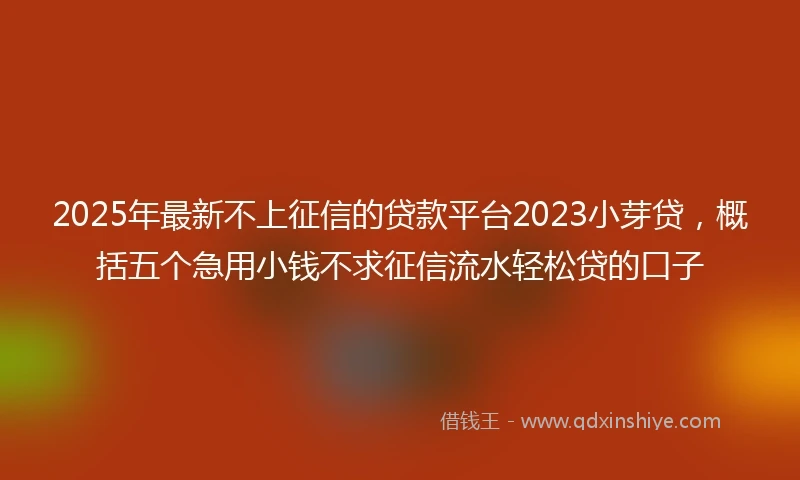 2025年最新不上征信的贷款平台2023小芽贷，概括五个急用小钱不求征信流水轻松贷的口子