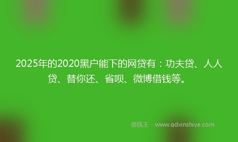 2025年的2020黑户能下的网贷有：功夫贷、人人贷、替你还、省呗、微博借钱等。