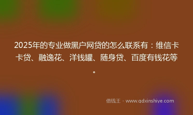 2025年的专业做黑户网贷的怎么联系有：维信卡卡贷、融逸花、洋钱罐、随身贷、百度有钱花等。