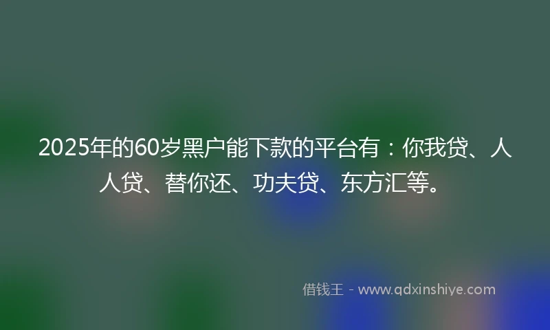 2025年的60岁黑户能下款的平台有：你我贷、人人贷、替你还、功夫贷、东方汇等。