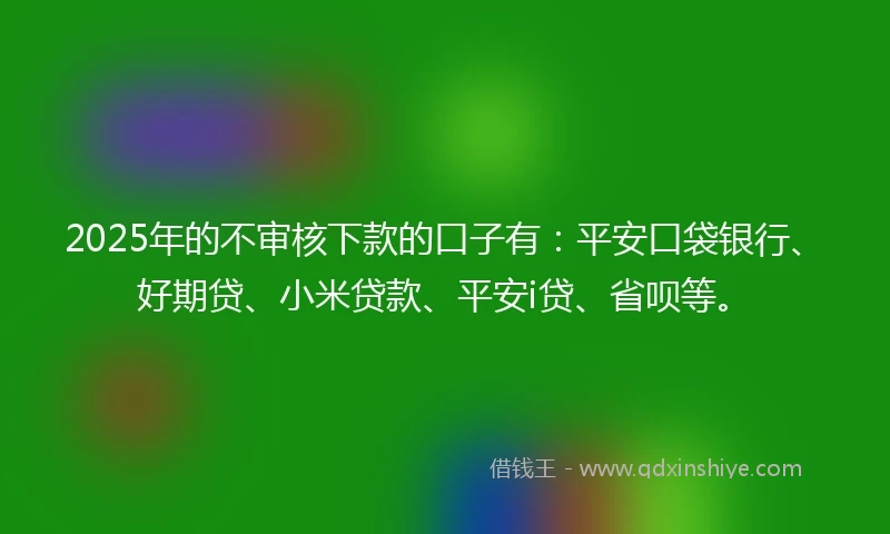 2025年的不审核下款的口子有：平安口袋银行、好期贷、小米贷款、平安i贷、省呗等。