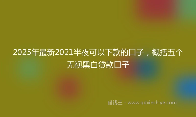 2025年最新2021半夜可以下款的口子，概括五个无视黑白贷款口子