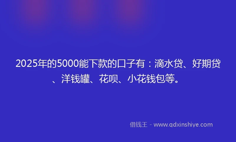 2025年的5000能下款的口子有：滴水贷、好期贷、洋钱罐、花呗、小花钱包等。