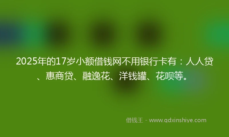 2025年的17岁小额借钱网不用银行卡有：人人贷、惠商贷、融逸花、洋钱罐、花呗等。