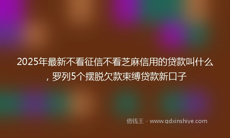 2025年最新不看征信不看芝麻信用的贷款叫什么，罗列5个摆脱欠款束缚贷款新口子