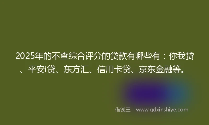 2025年的不查综合评分的贷款有哪些有：你我贷、平安i贷、东方汇、信用卡贷、京东金融等。