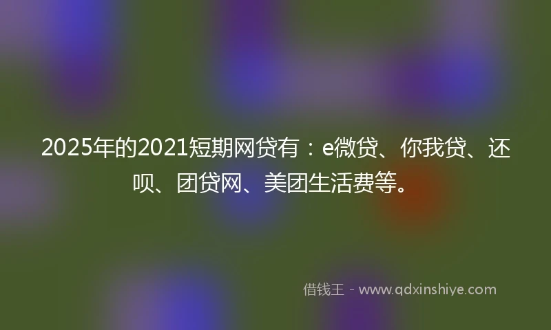 2025年的2021短期网贷有：e微贷、你我贷、还呗、团贷网、美团生活费等。