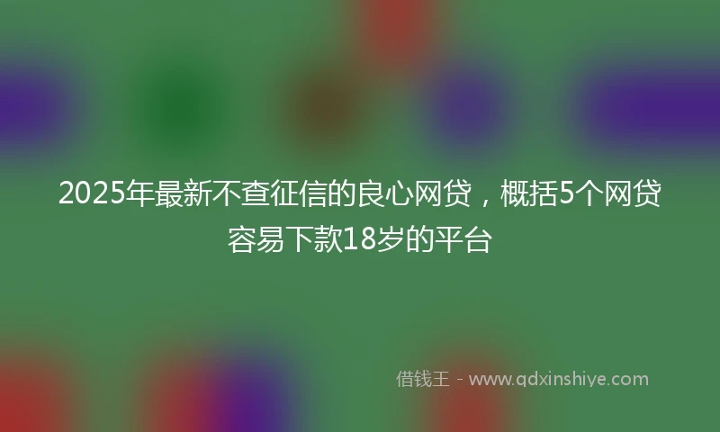 2025年最新不查征信的良心网贷，概括5个网贷容易下款18岁的平台