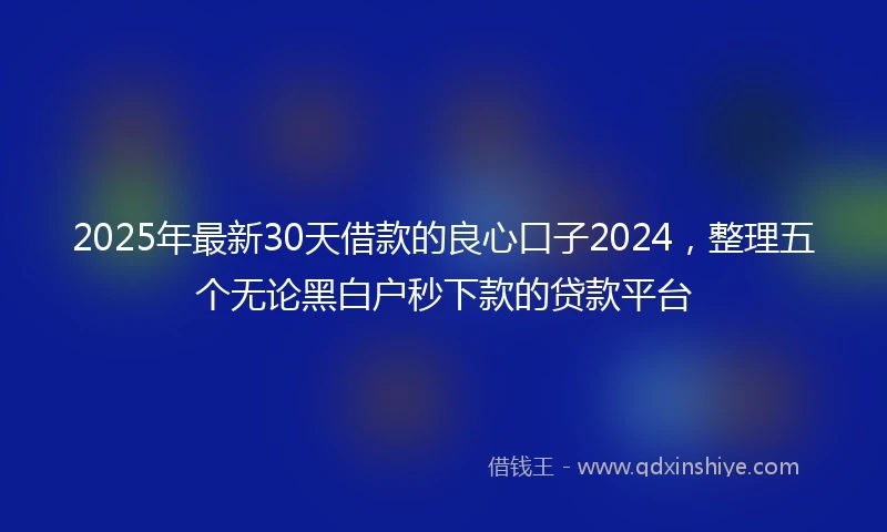 2025年最新30天借款的良心口子2024，整理五个无论黑白户秒下款的贷款平台
