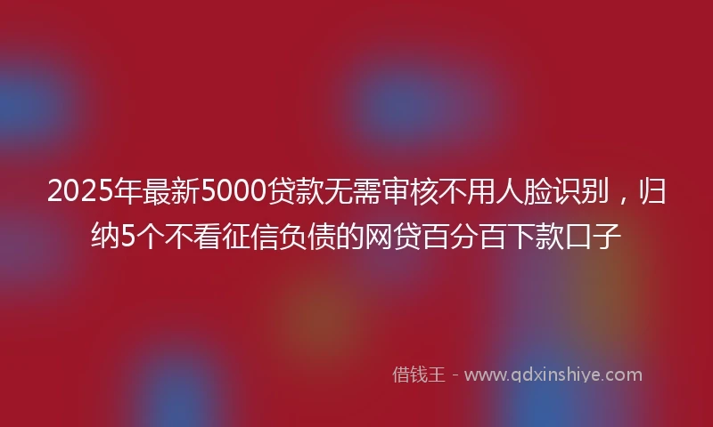 2025年最新5000贷款无需审核不用人脸识别，归纳5个不看征信负债的网贷百分百下款口子