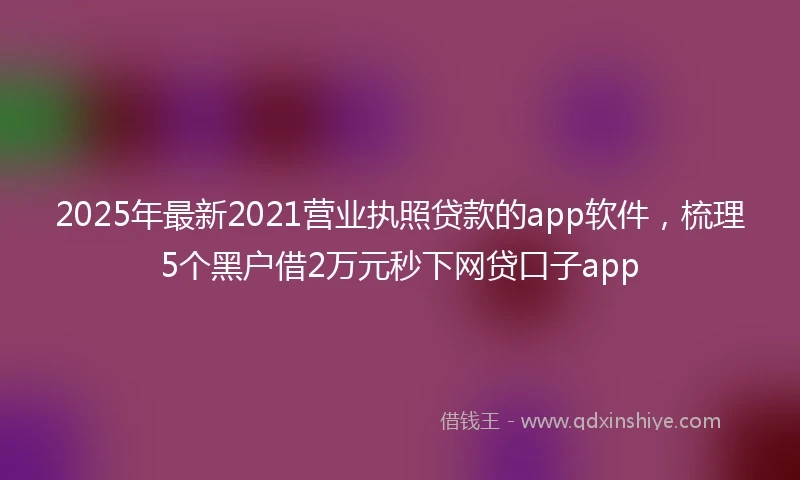 2025年最新2021营业执照贷款的app软件，梳理5个黑户借2万元秒下网贷口子app
