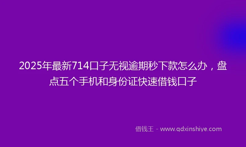 2025年最新714口子无视逾期秒下款怎么办，盘点五个手机和身份证快速借钱口子