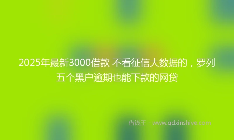 2025年最新3000借款 不看征信大数据的，罗列五个黑户逾期也能下款的网贷