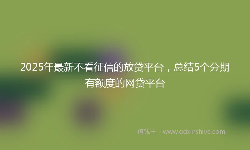2025年最新不看征信的放贷平台，总结5个分期有额度的网贷平台
