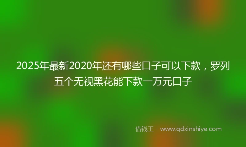 2025年最新2020年还有哪些口子可以下款，罗列五个无视黑花能下款一万元口子