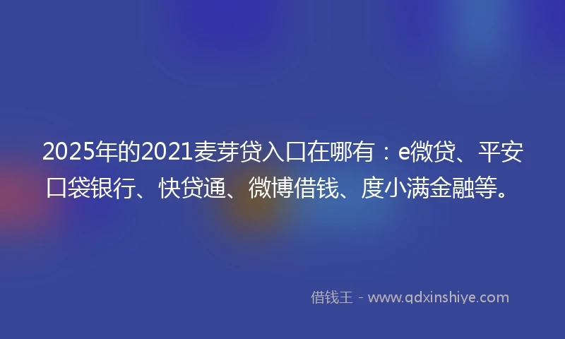 2025年的2021麦芽贷入口在哪有：e微贷、平安口袋银行、快贷通、微博借钱、度小满金融等。