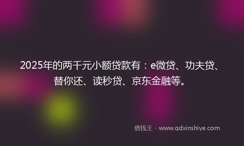 2025年的两千元小额贷款有：e微贷、功夫贷、替你还、读秒贷、京东金融等。