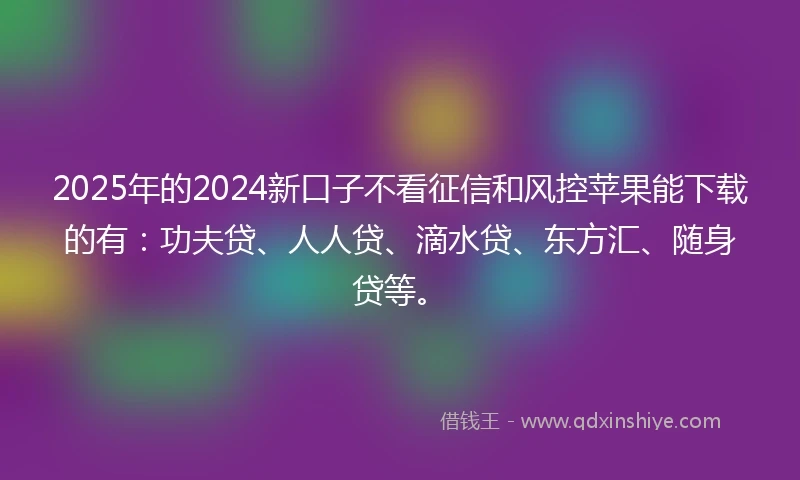 2025年的2024新口子不看征信和风控苹果能下载的有：功夫贷、人人贷、滴水贷、东方汇、随身贷等。