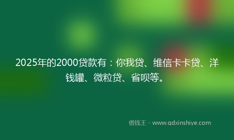 2025年的2000贷款有：你我贷、维信卡卡贷、洋钱罐、微粒贷、省呗等。