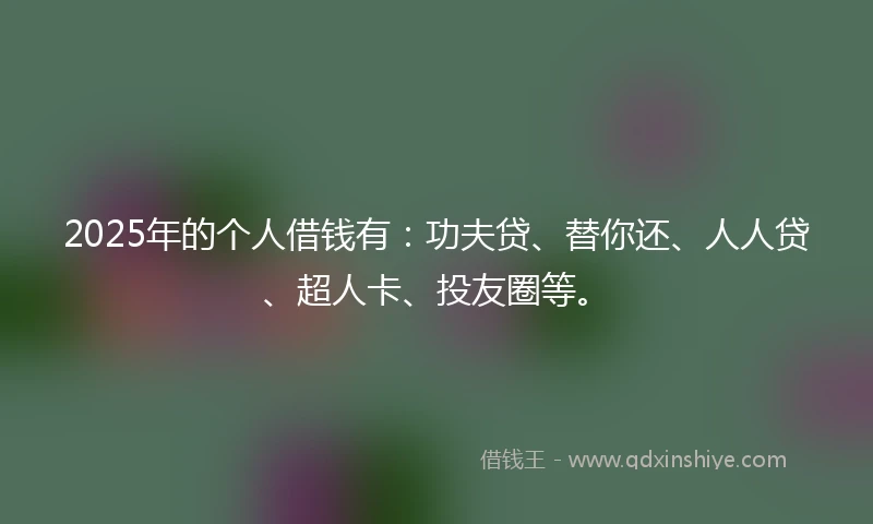 2025年的个人借钱有：功夫贷、替你还、人人贷、超人卡、投友圈等。