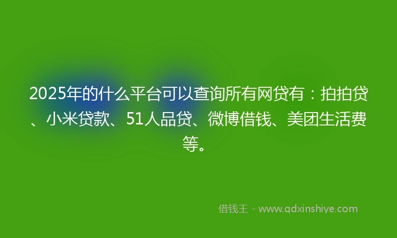 2025年的什么平台可以查询所有网贷有：拍拍贷、小米贷款、51人品贷、微博借钱、美团生活费等。