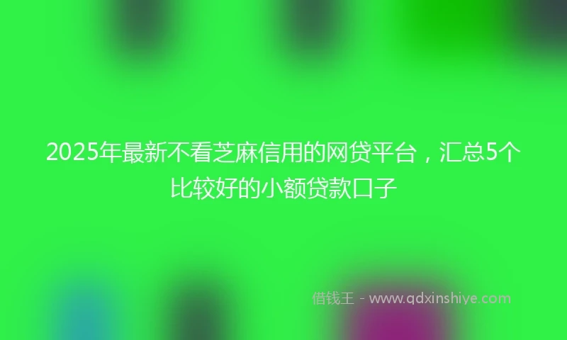 2025年最新不看芝麻信用的网贷平台，汇总5个比较好的小额贷款口子