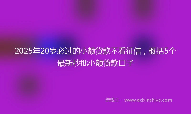 2025年20岁必过的小额贷款不看征信，概括5个最新秒批小额贷款口子
