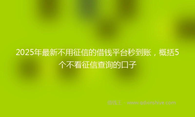 2025年最新不用征信的借钱平台秒到账，概括5个不看征信查询的口子