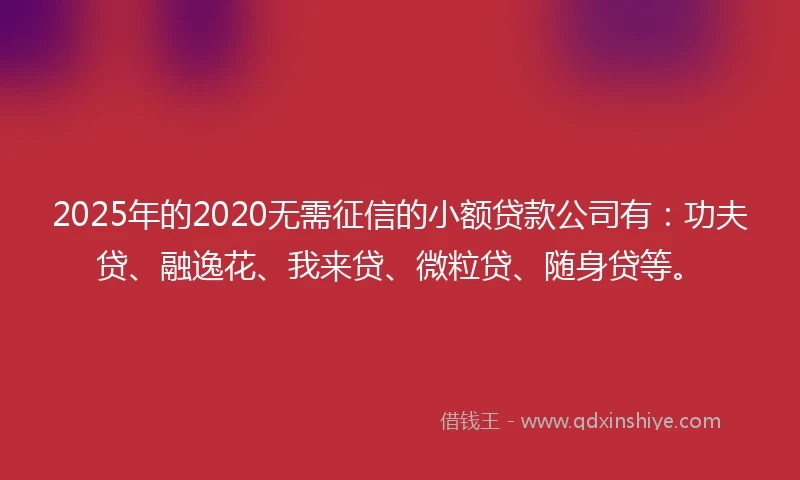 2025年的2020无需征信的小额贷款公司有：功夫贷、融逸花、我来贷、微粒贷、随身贷等。