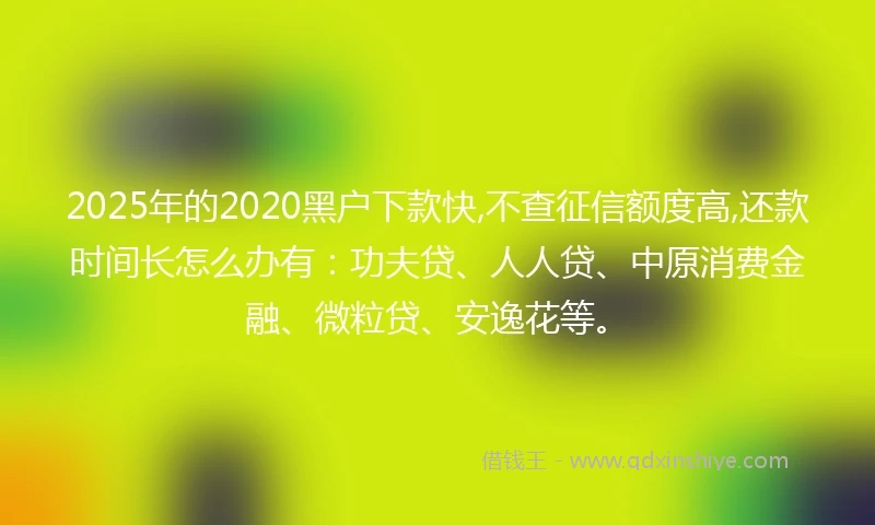 2025年的2020黑户下款快,不查征信额度高,还款时间长怎么办有：功夫贷、人人贷、中原消费金融、微粒贷、安逸花等。
