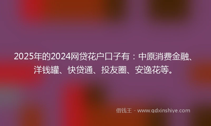 2025年的2024网贷花户口子有：中原消费金融、洋钱罐、快贷通、投友圈、安逸花等。
