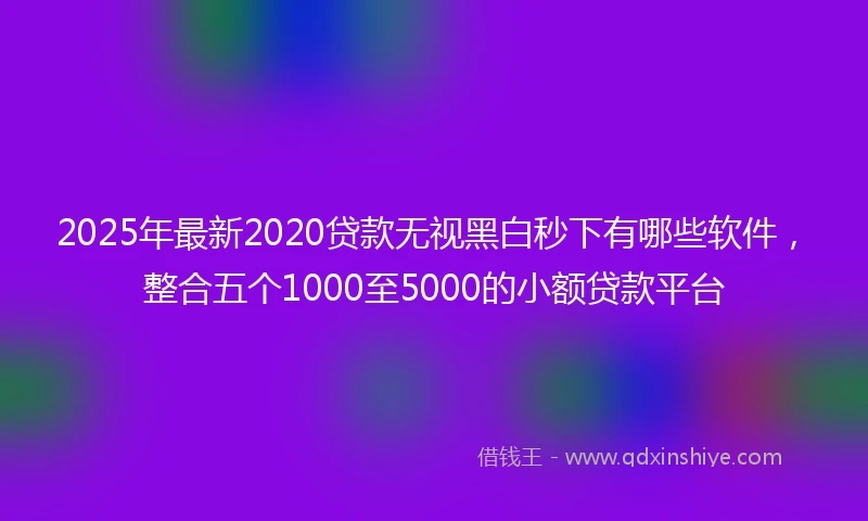2025年最新2020贷款无视黑白秒下有哪些软件，整合五个1000至5000的小额贷款平台