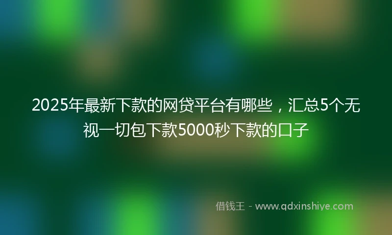 2025年最新下款的网贷平台有哪些，汇总5个无视一切包下款5000秒下款的口子