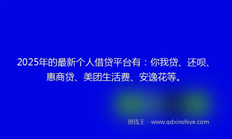 2025年的最新个人借贷平台有：你我贷、还呗、惠商贷、美团生活费、安逸花等。
